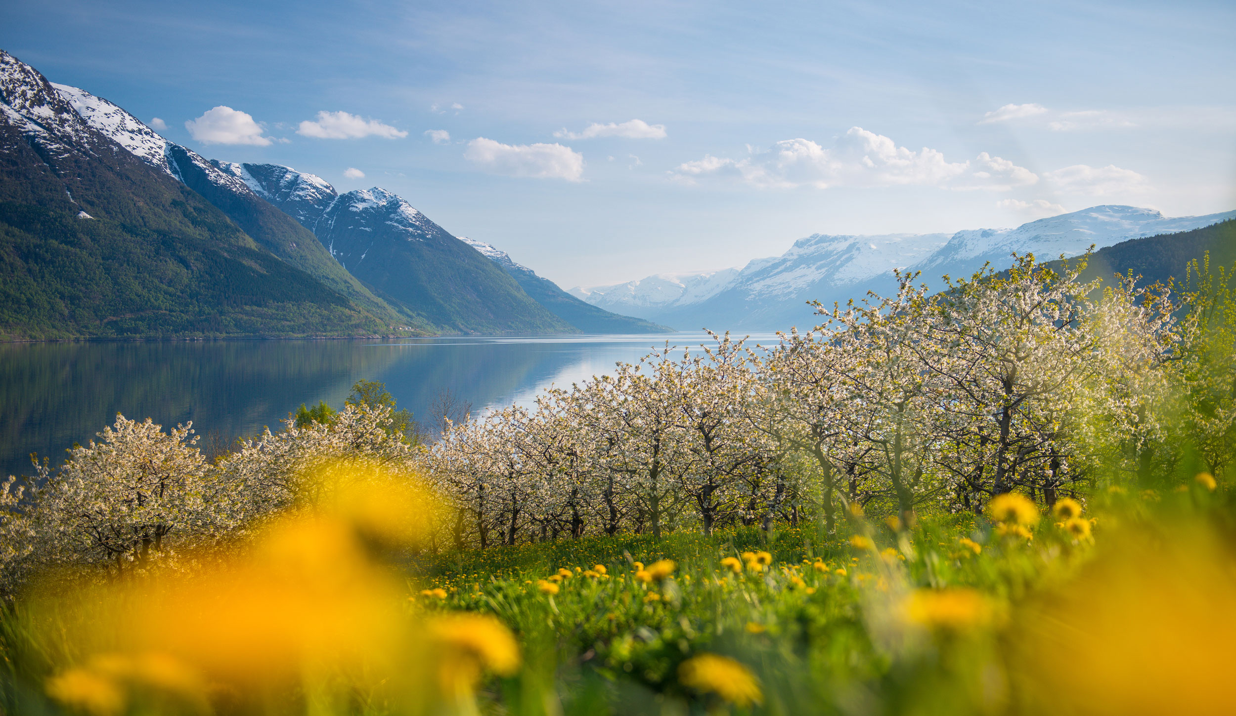 sommer-i-Hardanger