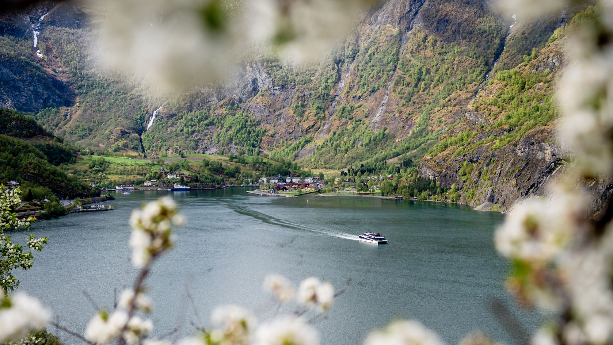 Foto: Vision of the fjord ved Flåm havn, Sverre Hjørnevik